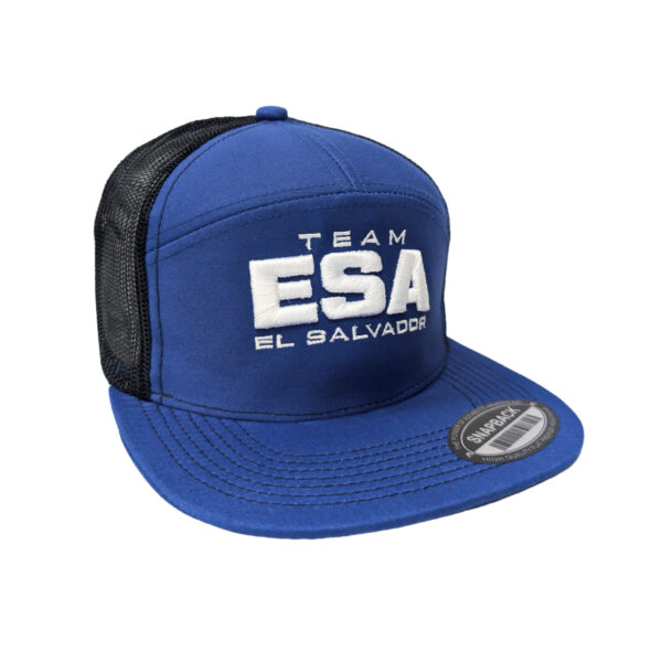 Team ESA