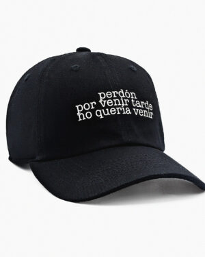 Perdón Por Venir Tarde