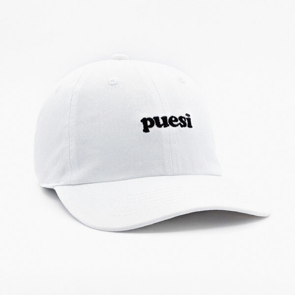 Puesi